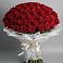 Букет 101 Красная роза Блэк Мэджик в Евсино