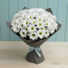 Букет цветов из:  Хризантемы в Евсино