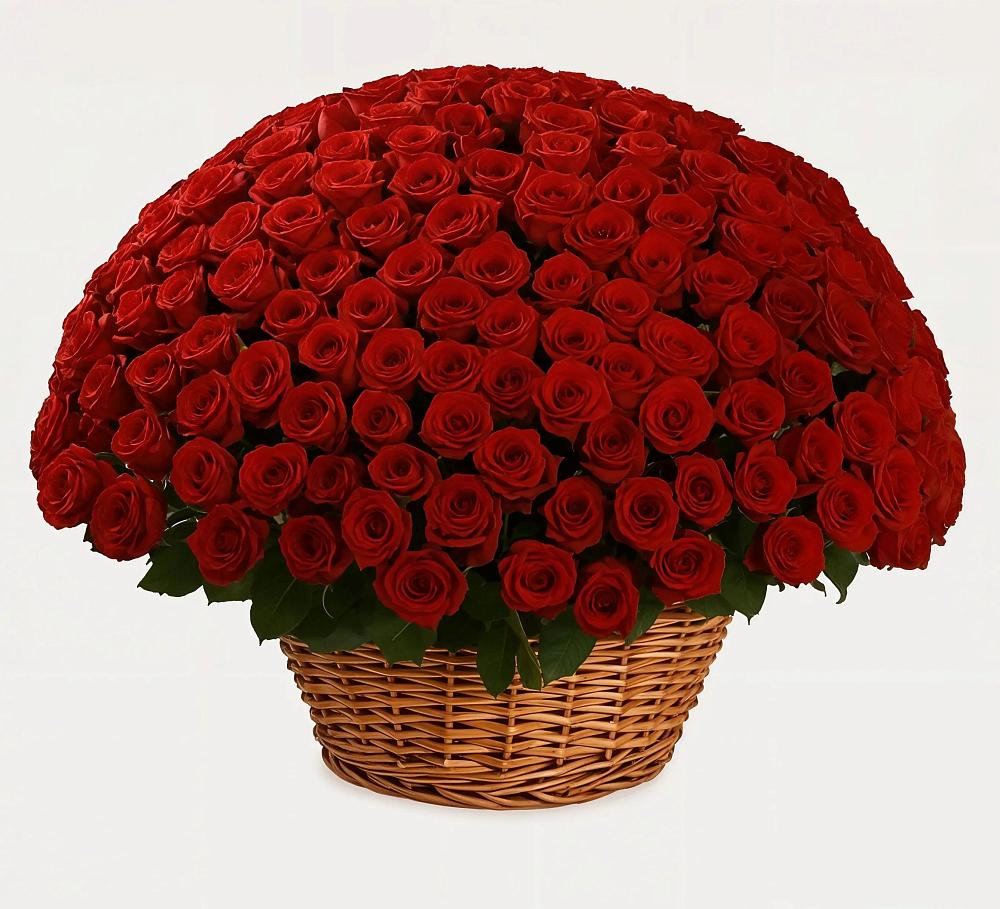 Премиум букет из: Розы в Евсино