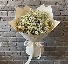 Букет цветов из:  Ромашки в Евсино