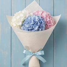 Букет цветов из:  Гортензия в Евсино