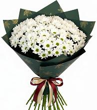 Букет цветов из:  Хризантемы в Евсино