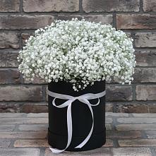 Цветочная композиция из Гипсофила в шляпной коробке в Евсино