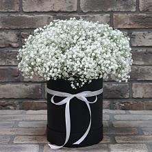 Цветочная композиция из Гипсофила в шляпной коробке в Евсино